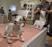 Image result for Sony Aibo Robot Dog