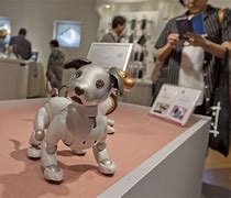 Image result for Aibo Robot Dog Beagle