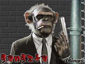Image result for Gangster Monkey Meme