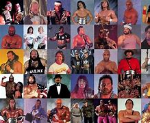 Image result for Very First WWF Superstars Wrestling