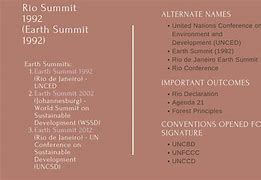 Image result for Earth Summit Loog