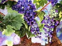 Image result for Grape Vine Art