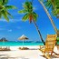 Image result for Paradise Screensavers