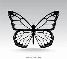 Image result for Simple Butterfly Vector