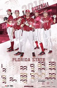 Image result for College Baseball Posters
