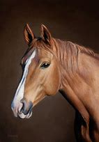 Image result for Modern Art Horse Painting