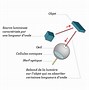 Image result for Synthese Des Couleurs