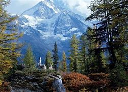 Image result for High Resolution Mountain Forest