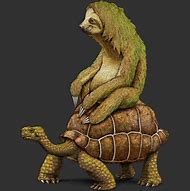 Image result for Tortouise Sloth
