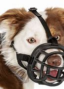 Image result for Muzzled Dog Aesthetic