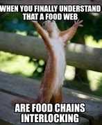 Image result for Israel Food Chain Meme