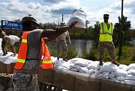 Image result for Sandbagging Son of a Gun