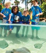 Image result for Bahamas for Kids