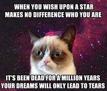 Image result for Grumpy Cat Mike Happy Birthday