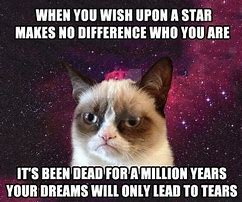 Image result for Grumpy Cat Good Meme