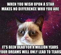 Image result for Happy New Year Grumpy Cat Meme