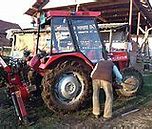 Image result for Polovni Traktori IMT 549