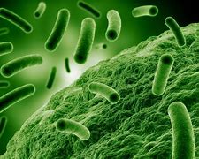 Image result for Antimicrobial