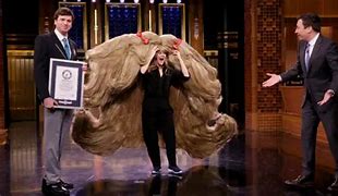 Image result for World's Largest Wig On TV