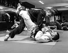 Image result for Jiu Jitsu Stance