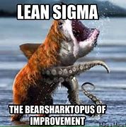Image result for Lean Six Sigma Meme