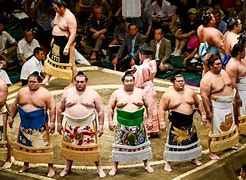 Image result for Sumo Wrestling Japan