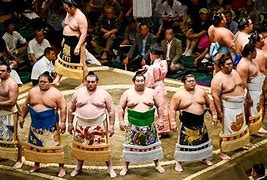 Image result for Sumo Pictures