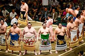 Image result for Chinese Sumo Wrestler