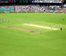Image result for Cricket Filde