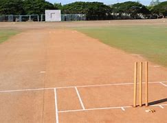 Image result for Large Image Wickets
