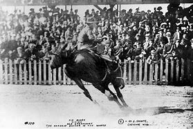 Image result for Wyoming Horse Racing