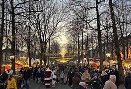 Image result for Christmas in the Hague Netherlands