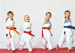 Image result for Miss Martial Arts for Kids