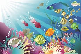 Image result for Free Ocean Life Clip Art