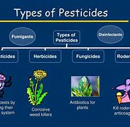 Image result for Different Types of Pesticides