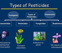 Image result for Pesticides Types