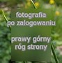 Image result for czosnek_winnicowy