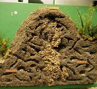 Image result for Zoolander Center for Ants