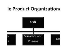 Image result for Org Chart for New Product