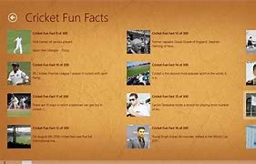 Image result for Fun Facts About Cricket Picture