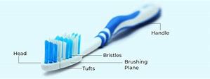 Image result for Toothbrush Pod Section