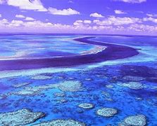 Image result for Great Barrier Reef