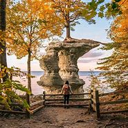 Image result for Free Things to Do in Michigan