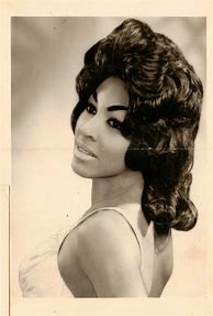 Image result for Tina Turner Younger