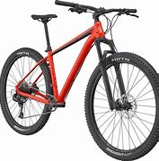 Image result for Mountain Bike