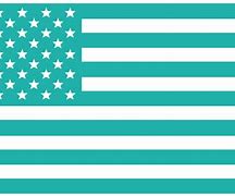Image result for 1855 American Flag