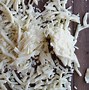 Image result for Shred Cheese