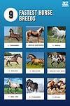 Image result for Fast Horse Breeds