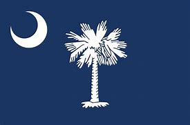 Image result for State Flags of the South