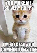 Image result for Happy Cat Meme